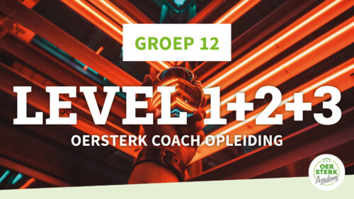 oersterk coach opleiding level 3 groep 12